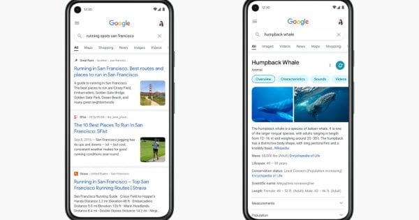 Google Search 600x315 cropped 1