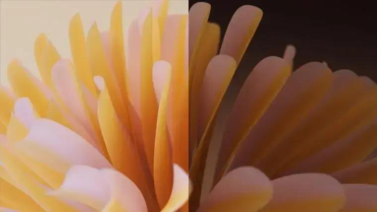 Papel de parede dinâmico: conheça as novas texturas fluidas da Microsoft 1 Papel de parede dinâmico